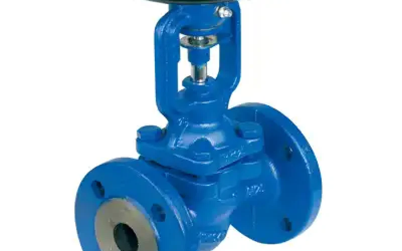 TLV Bellow sealed globe valve - BE8H-16