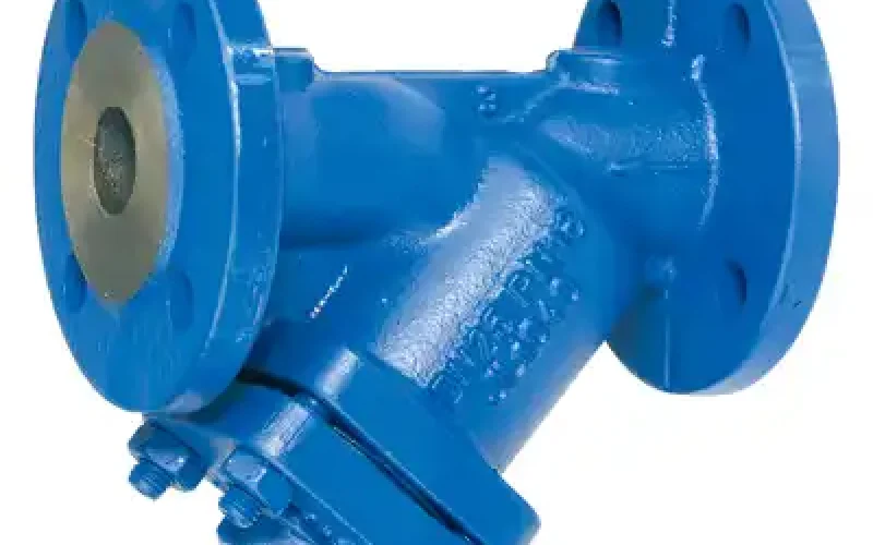 TLV Flanged Y-strainer - Y8F